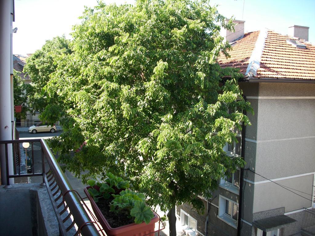Georgievi Guest House Pomorie Exterior foto